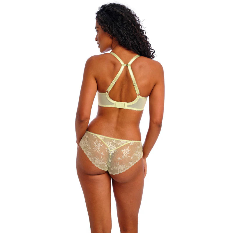 ‘Offbeat Decadence’ briefs in key lime size XL