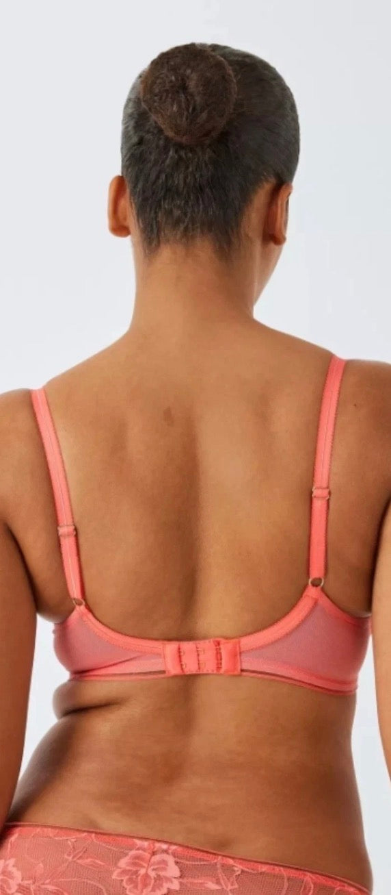 ‘Wren’ high apex, padded plunge bra in coral, full support