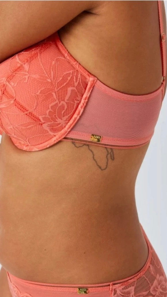 ‘Wren’ high apex, padded plunge bra in coral, full support