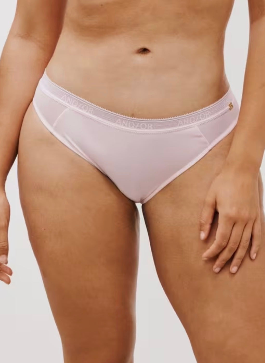 ‘Fleur’ bikini briefs in rose