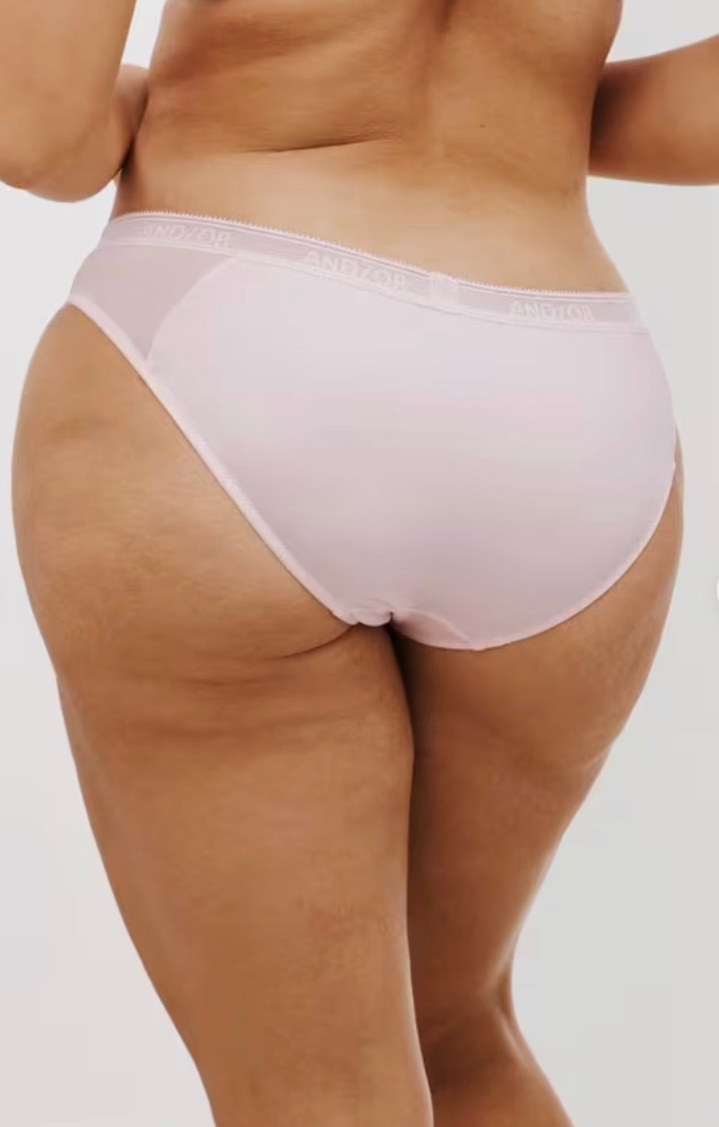 ‘Fleur’ bikini briefs in rose