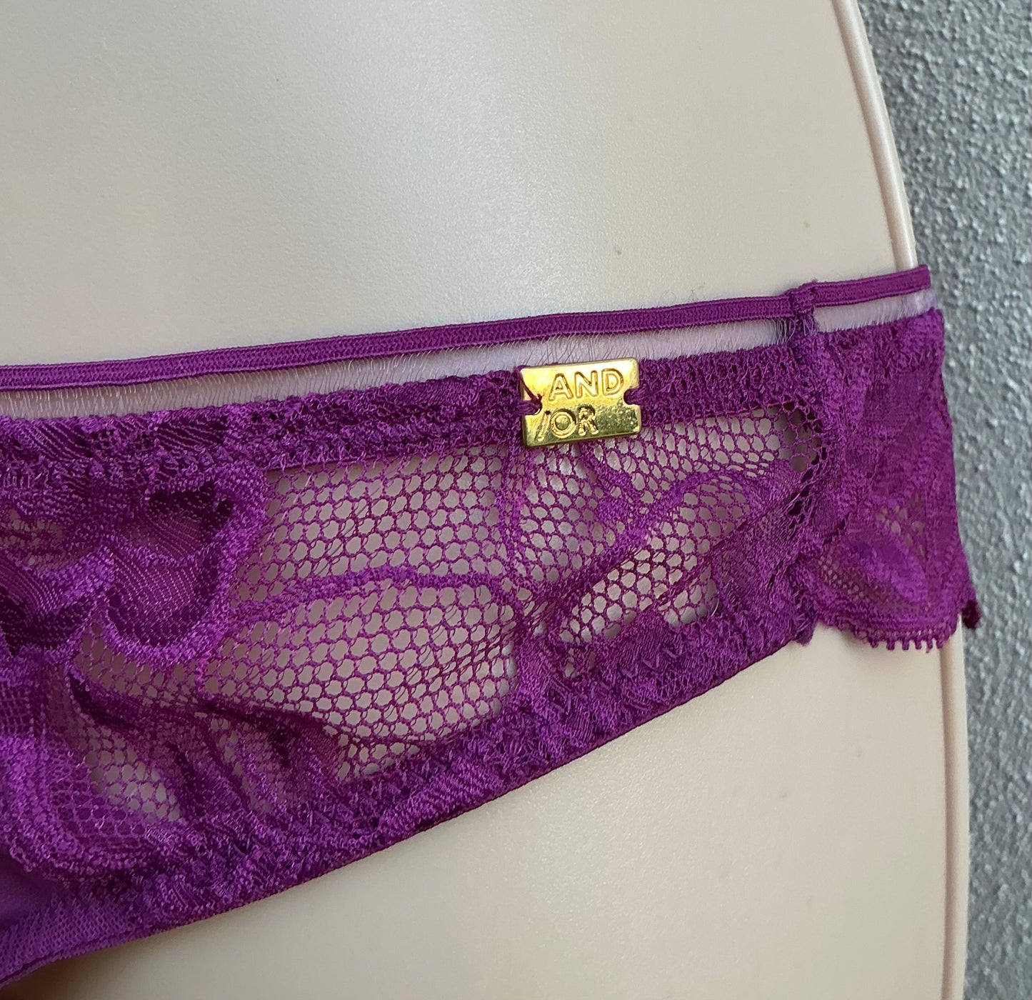 ‘Wren’ lace Brazilian briefs in mulberry size 12