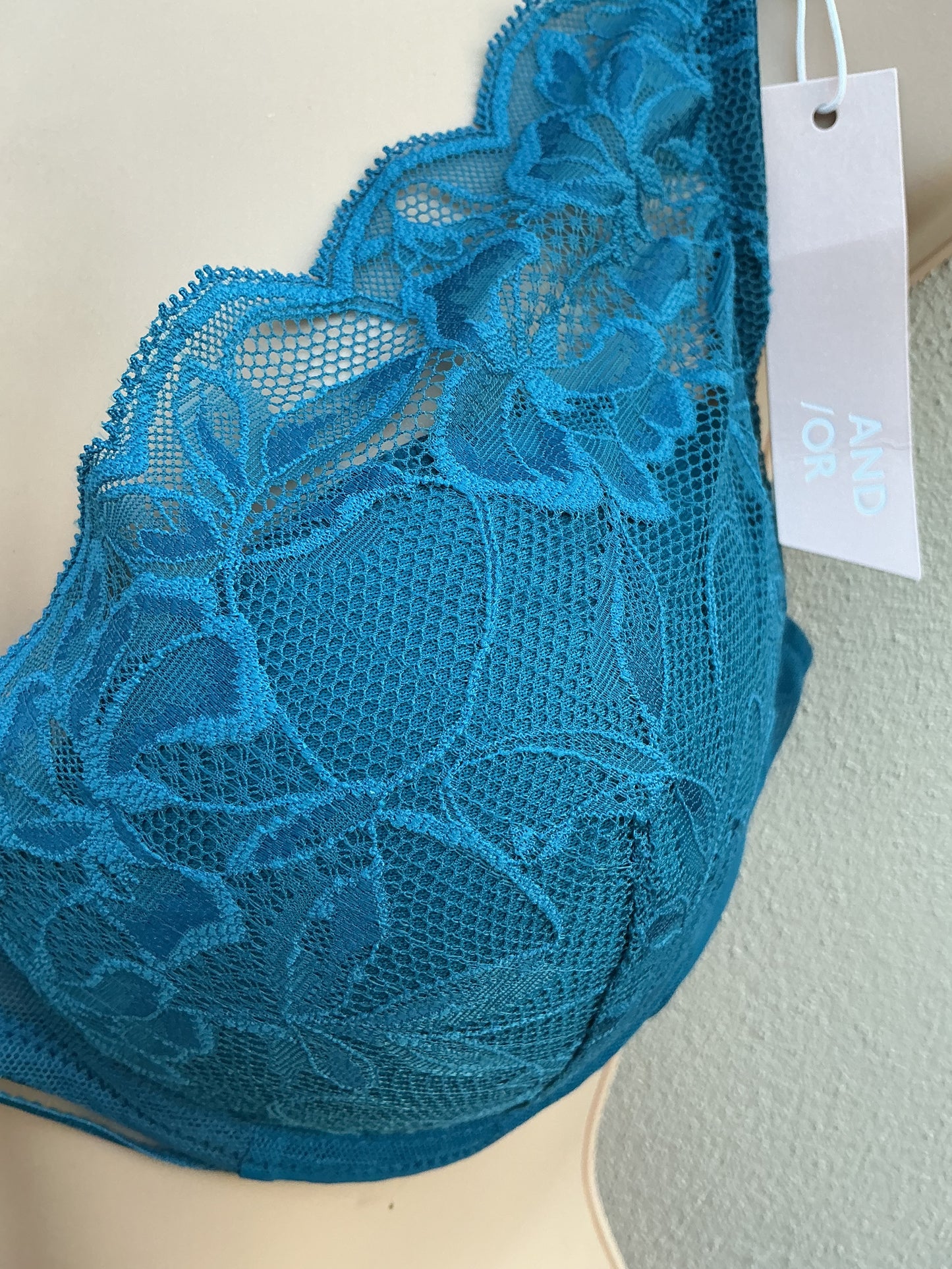 ‘Wren’ high apex, padded plunge bra in teal 38D