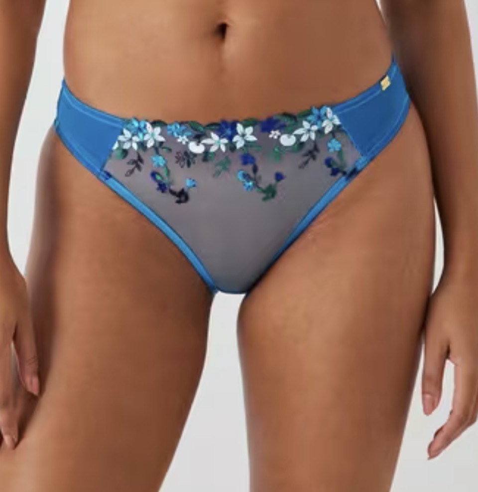 ‘Kiki’ fruity embroidered briefs in blue size 18