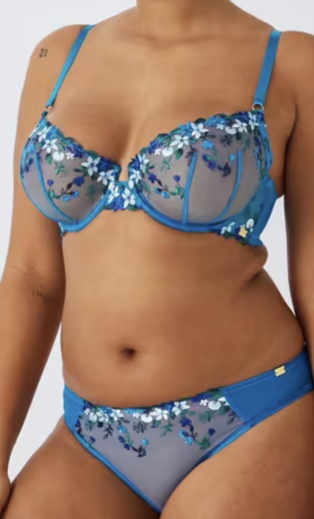 ‘Kiki’ fruity embroidered briefs in blue size 18